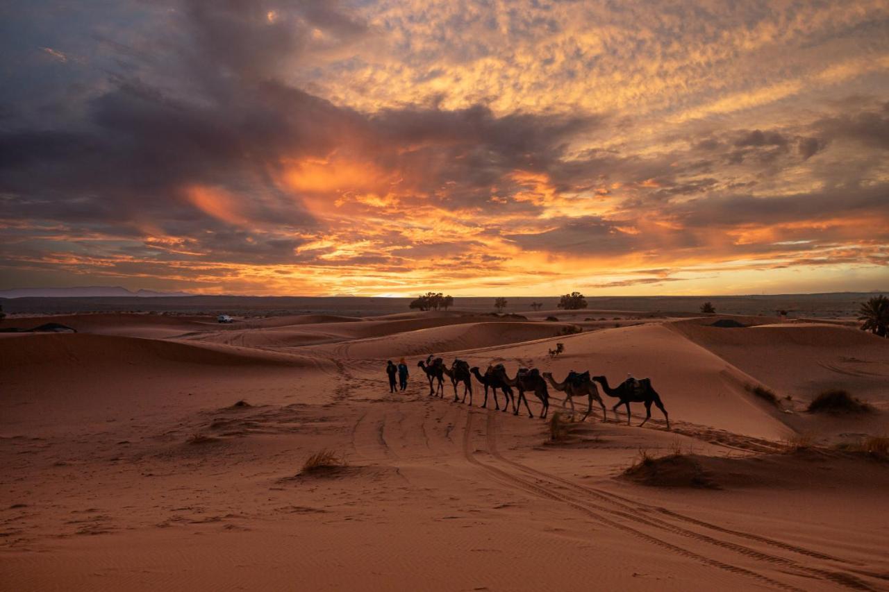 Paradis Du Sahara Merzouga Exteriör bild